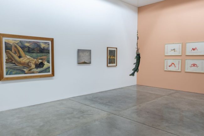 Fotografía en sala de Nos habitan pájaros y montañas