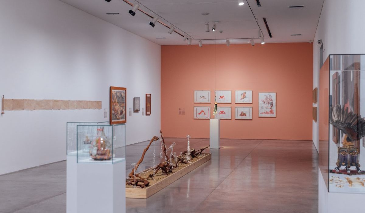 Fotografía en sala de Nos habitan pájaros y montañas