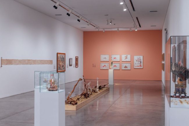 Fotografía en sala de Nos habitan pájaros y montañas