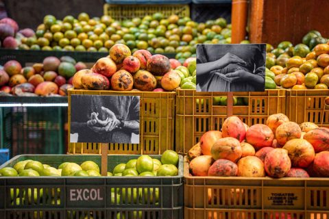 La memoria de las frutas de Claudia Claremi