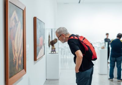 Visitante en la exposición Nos habitan pájaros y montañas