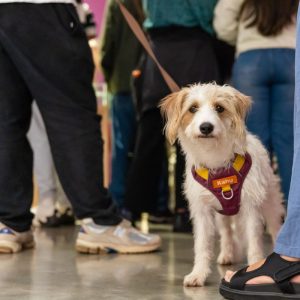 Fotografía Hora del cuento para mascotas
