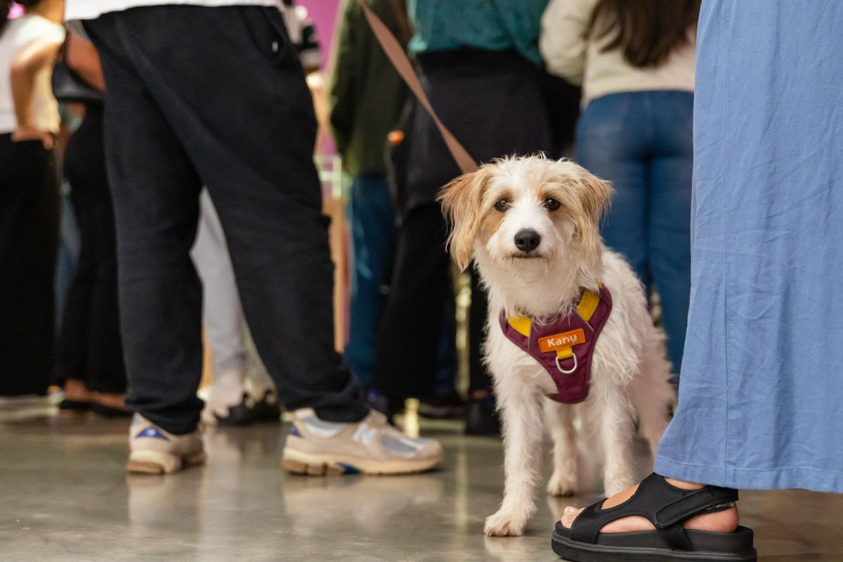 Fotografía Hora del cuento para mascotas