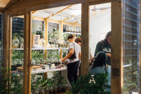 Fotografía en el jardín de Khoka Project