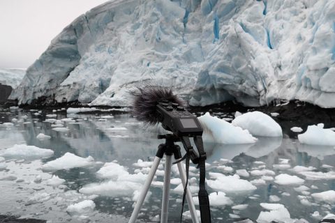 Fotografía para Resonancias Antártida