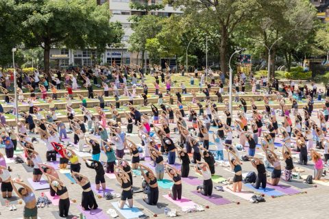 Fotografía de yoga al aire libre