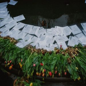 Comer a solas es morir a solas. Ceremonia de narración de historias y siembra colectiva