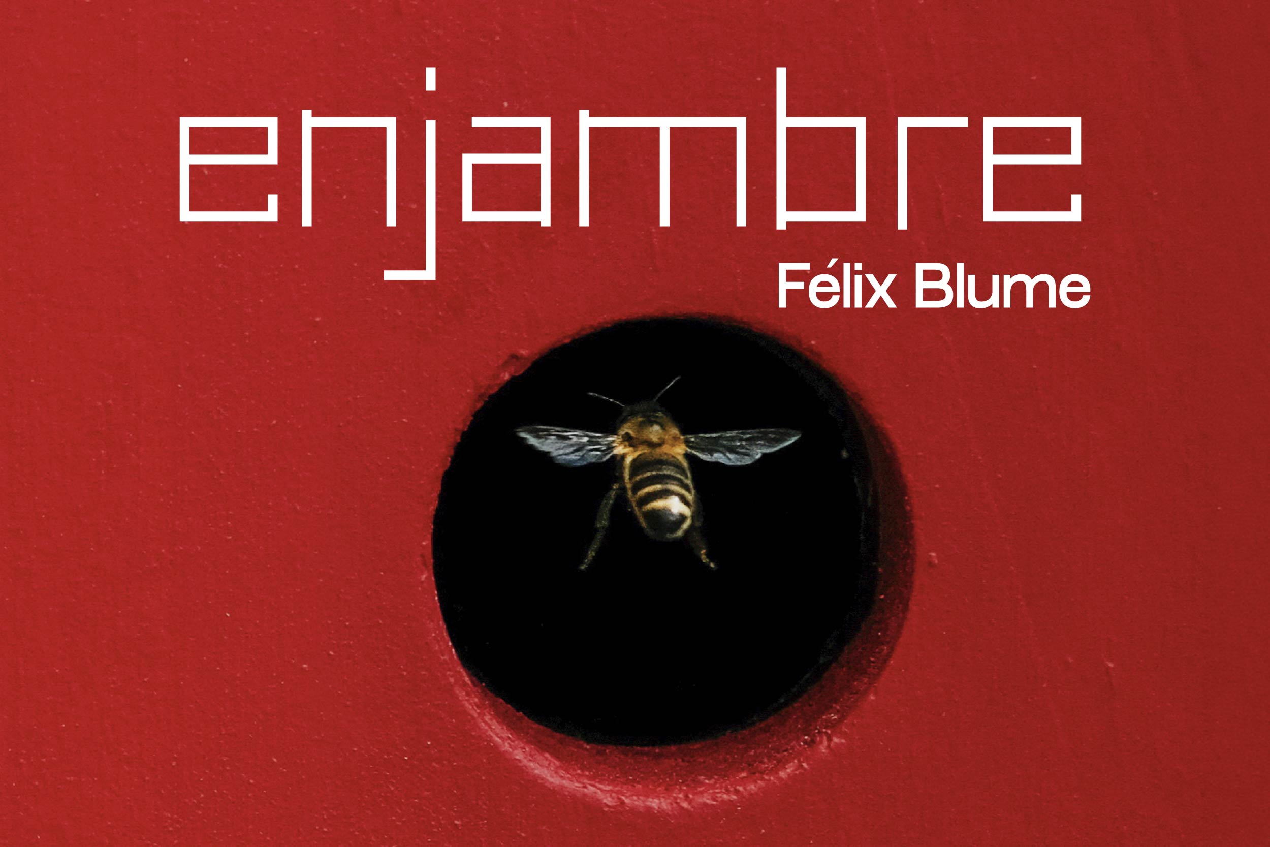 Imagen de Enjambre