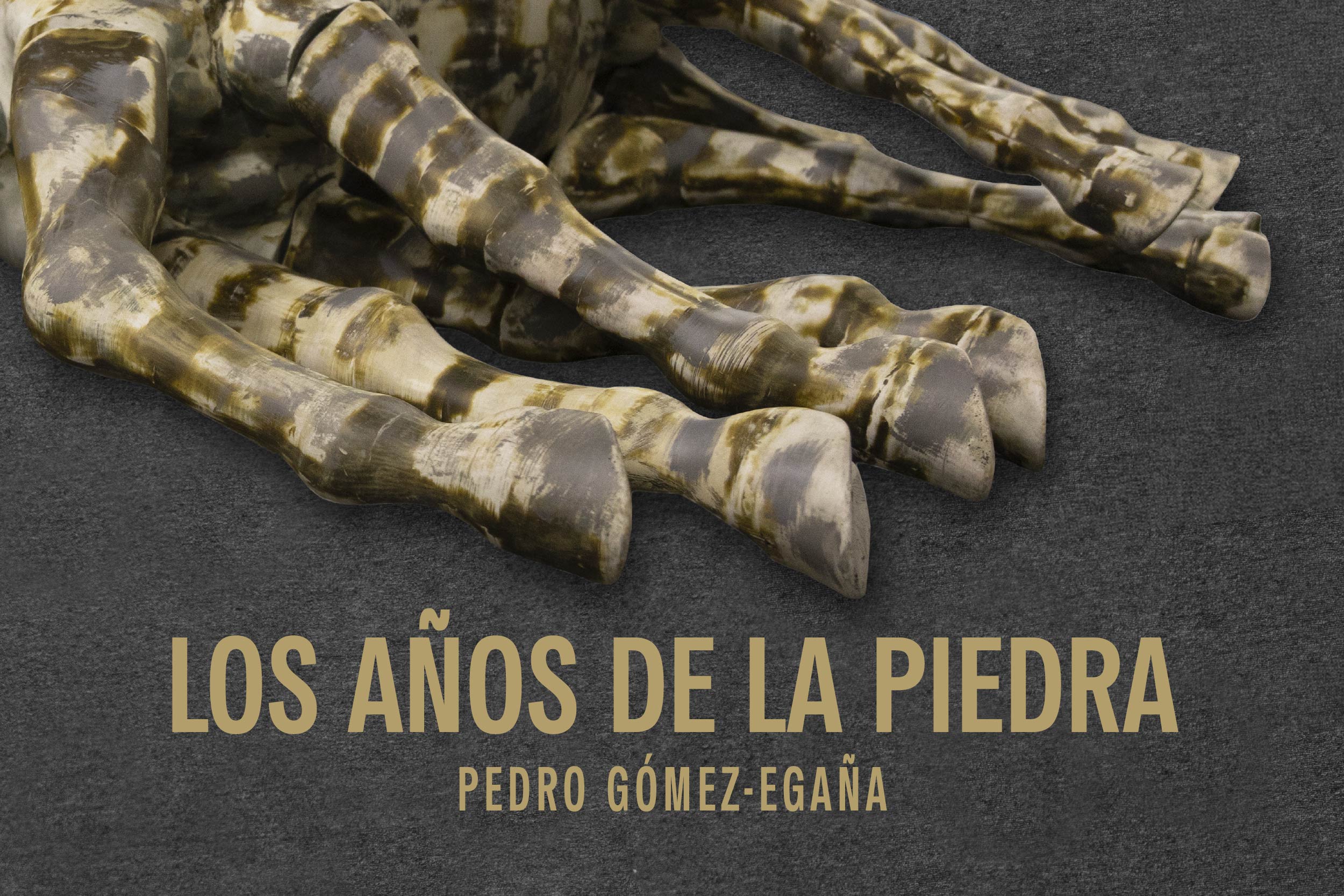Imagen de Los años de la piedra