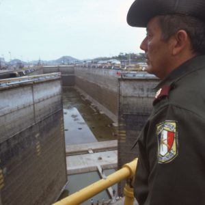 Hijo de tigre y mula