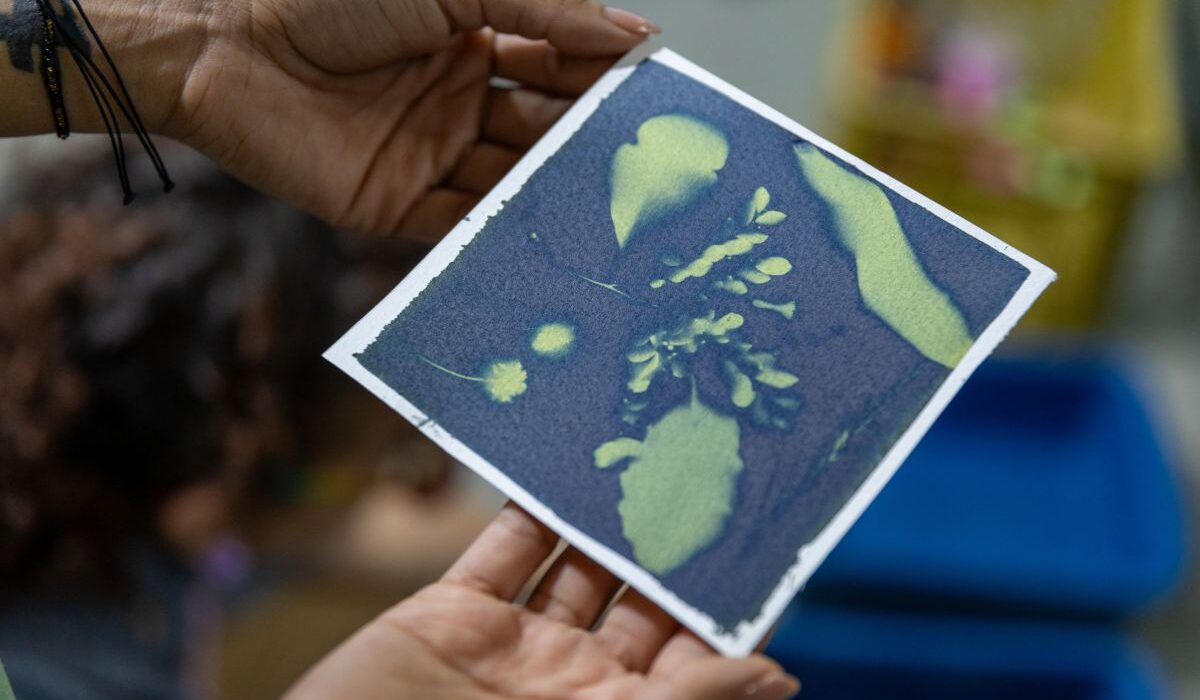 Fotografia de cianotipia