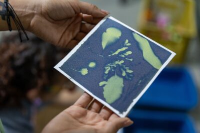 Fotografia de cianotipia