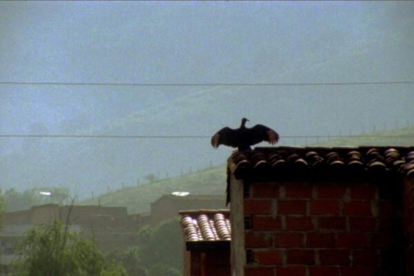 Fotograma de la película Entre montañas