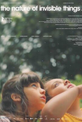 Póster de la película La naturaleza de las cosas invisibles