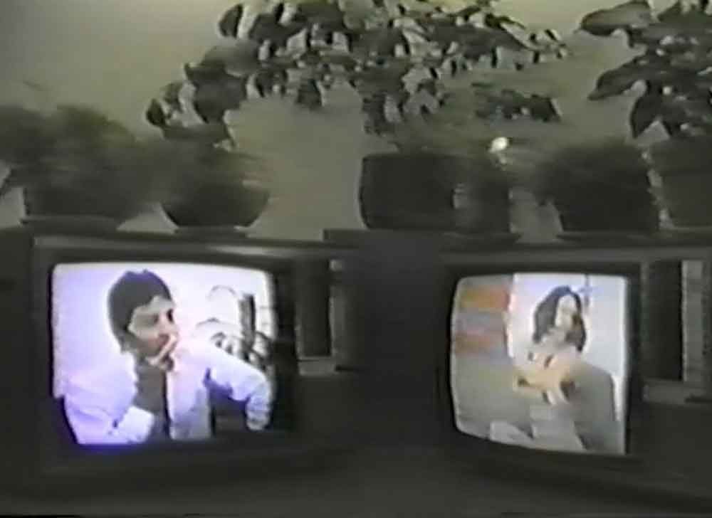 Bienales de videoarte, Confabularios bajo el jardín 1988