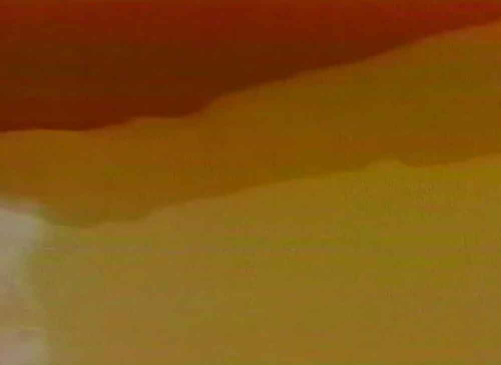 Bienales de videoarte Dora Lucia Mejía, El Valle de los Aburraes 1992