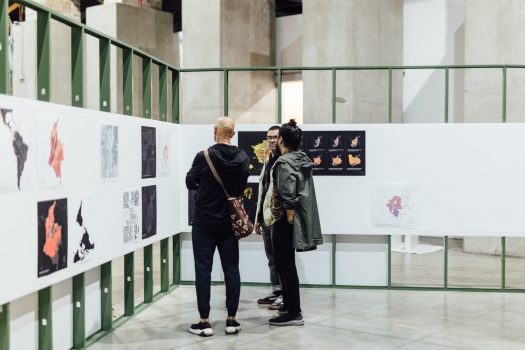 Amigos MAMM en exposición