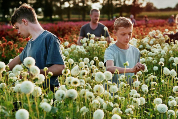 niños en un campo de flores
