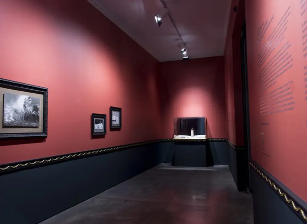 Salon rojo de la exposición: El genio secreto del catalejo