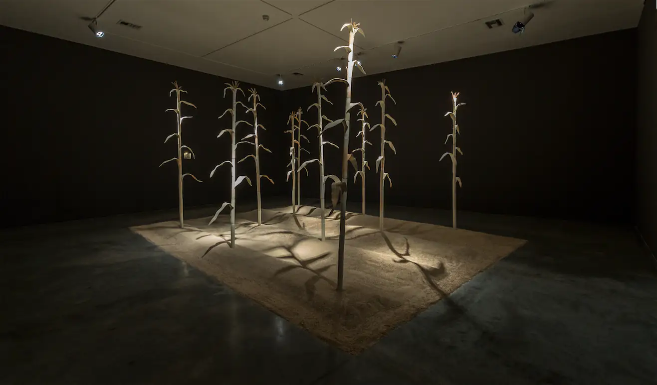 Exposición Siembra de Juan David Henao en el MAMM