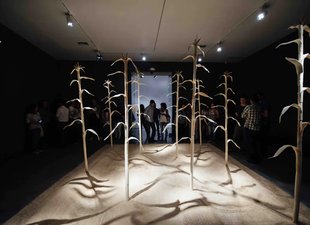 Foto de la exposición de Juan David Henao: Siembra