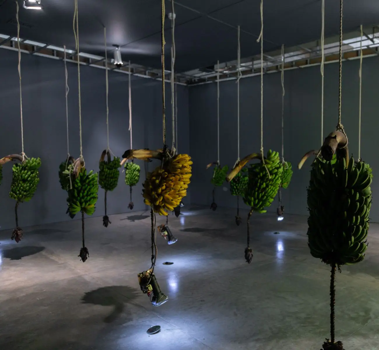 Obra musa paradisíaca en la exposición La buena vida