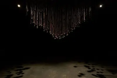 Imagen de la exposición Enjambre