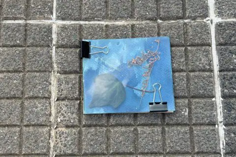 Fotografía de taller de cianotipia